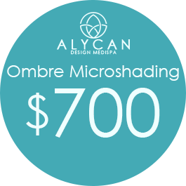 Ombre Microshading $700